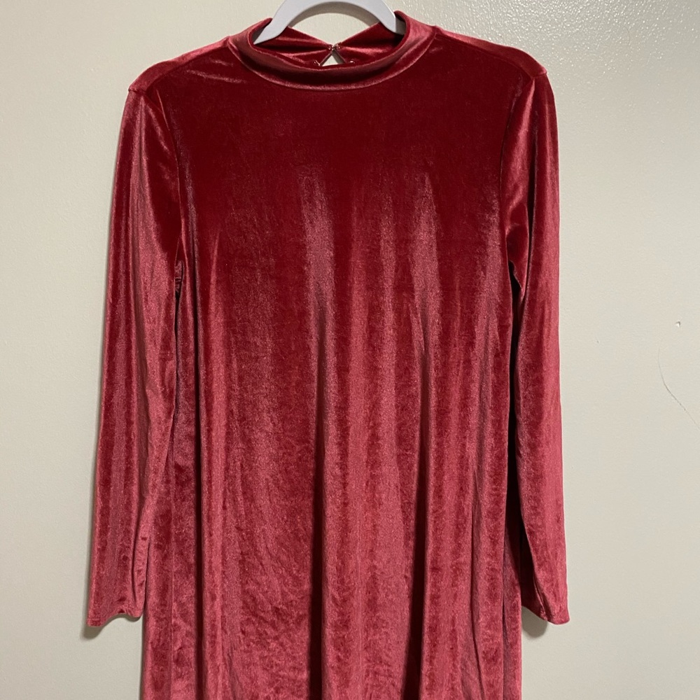 Velvet pink dress